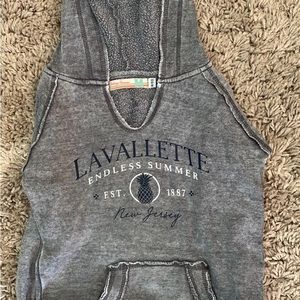 Vintage Havana lavalette gray sweatshirt